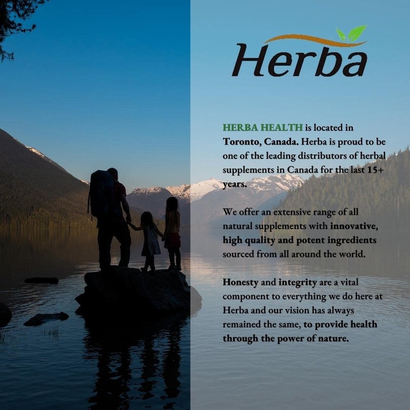 Herba Serrapeptase 120,000 SU - 90 Vegetable Capsules | High
