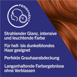 Schwarzkopf LIVE Intense Colour Hair Colour 077 Caramel Copper (3 x 142.5 ml), Permanent Colouration with Colour-Intensifying Serum, Permanent Hair Colour for Perfect Grey Hair Coverage
