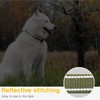 HEELE Dog Collar, Reflective Dog Collar, Soft Neoprene Padded Breathable