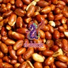 Alebrixes - Spanish Peanut 10 Oz - Roasted & Salted