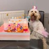 ZARSIO Tulle Tutu for Dogs, Dog Birthday Set Crown Hat