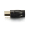 C2G Micro HDMI to HDMI, HDMI Adapter, Black, Cables to