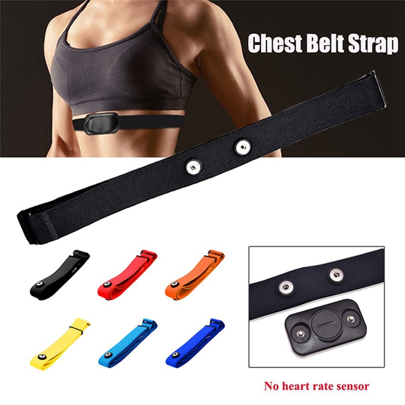 Lrtzizy 3Pcs for Heart Rate Chest Strap Adjustable Elastic Strap