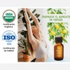 OLEUM VITAE Aceite Esencial de Limón 30ml. Citrus Limonum. 100%