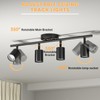 Lavendex LED 4 Light Track Lighting Kit, Black Ceiling Spotlights,