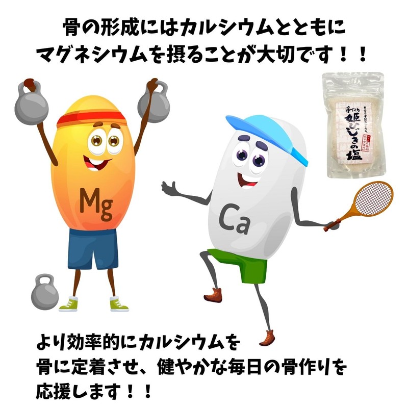 天然塩 姫ひじきの塩 100g 国産 無添加 海水塩 粗塩 天然 カルシウム マグネシウム