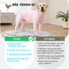 Yeapeeto Dog Sun Protection Cooling Suit UPF 50+, Quick-Dry Breathable