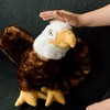 The Petting Zoo Bald Eagle Stuffed Animal Plushie, Gifts for