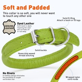 Dogline Soft and Padded Rolled Round Leather Collar for Dogs W1/4" - L8"-10", Green