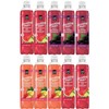 Generic Sparkling Water Variety Pack | 3 delicious flavors: Watermelon