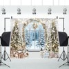 White Christmas Backdrops for Photoshoot Winter Window Christmas Photo Backdrop