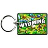 Wyoming - Llavero de acrílico para recuerdo, accesorio retro de