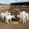 WYJREES Hay Feeder for Goat, 35 Gallon Heavy-Duty Livestock Feeder