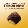 DOVE Large PROMISES Dark Chocolate Peanut Butter Candy, 2.75oz (Pack