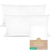 Terra Beds Cushion cover 40 x 80 cm (set of 2), 100% cotton jersey, 160 g/m², Oeko-Tex certified, pillowcase 40 x 80 cm for pillows 40 x 80 cm with zip, soft and breathable (white)