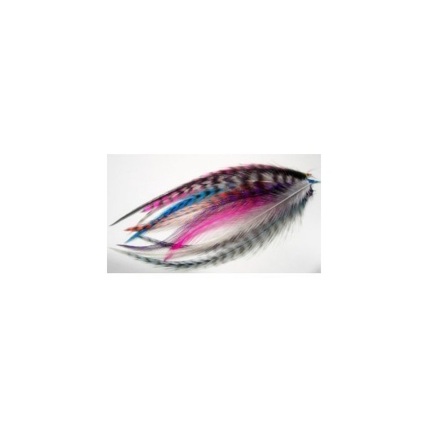 10 Real Feather Mix Color Hair Extension 4"-5.5" Long Includes 4 Silicone Micro-ring Beads