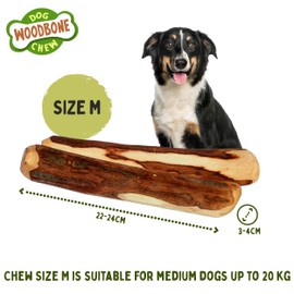 Woodbone Olive Wood Dog Chew Toy for Medium Dogs - Dogwood Branch Chewing Stick - Set of 2 Size M