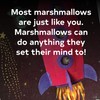 Most Marshmallows: (Children?s Storybook, Funny Picture Book for Kids)
