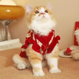 ANIAC Diamond Puppy Sweater for Small Dog Girl Strawberry Turtleneck Cat Knitwear Winter Pet Clothes for Kitten Chihuahua Yorkie (Small, Red)