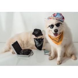 Mechaly Triangle Plain Cotton Bandanas - 7 Pack - Kerchiefs and Head Scarf (Mix)