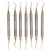 7 Pieces Teeth Plaque Remover Kit Multiple Shapes Metal Cleaning