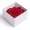 Infinity Rose Preserved Rose Box I Love You Gift for