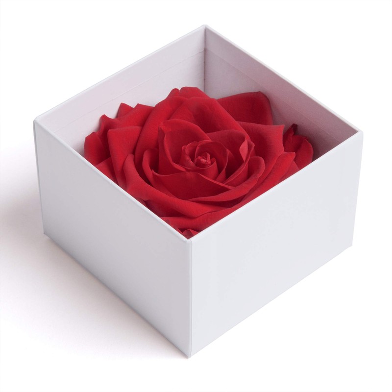 Infinity Rose Preserved Rose Box I Love You Gift for