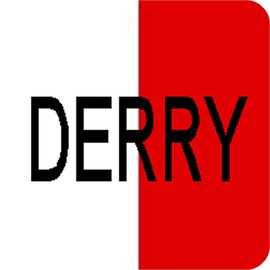 Derry Irish County Ireland Square Aluminium Fridge Magnet Fantastic Souvenir