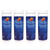 Clear Spa Spa Chemical Chlorinating Granules CSDD002 OREQ (4 Pack)