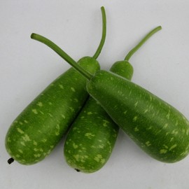Gourd Seeds - NAM Tao Yai - Hybrid - 4 Oz ~560 Seeds - Non-GMO, F1 Hybrid - Asian Garden Vegetable