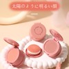 Wirwody チークパウダー 鏡＆パフ付き 3in1ナチュラルチーク 血色感アップ 粉質ふんわり 毛穴ぼかし 携帯用 新手向け 肌色問わず使える