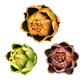 DKALIO Fake Artificial Artichoke, Vegetables Faux Plastic Artichoke, Decoration for Wedding Party Home Kitchen Artichokes Flower (Colorful,Small,3)