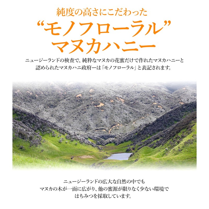 BeeMe MGO260 (UMF10+ Equivalent) Spout Pouch