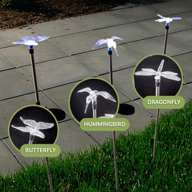 Garden Solar Lights Yard Décor - 3-Pack of Butterfly, Dragonfly and Hummingbird - Outdoor Decorative Landscape Lighting for Patio, Pathway, or Lawn by Pure Garden
