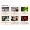 Pack of 2 Insan Purple 9 times Roasted Crystal +