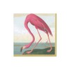 Caspari Audubon Birds and Flamingo Paper Cocktail Napkins, Two Packs