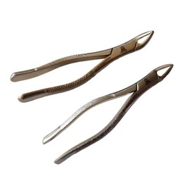 Heavy Duty Dental Extracting Forceps # 150# 151, Apical Forceps, Cowhorn Forceps, Lower Molars, Atraumair - 2 Pcs