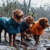 Hurtta Monsoon Coat, Dog Raincoat, Bilberry, 14 in
