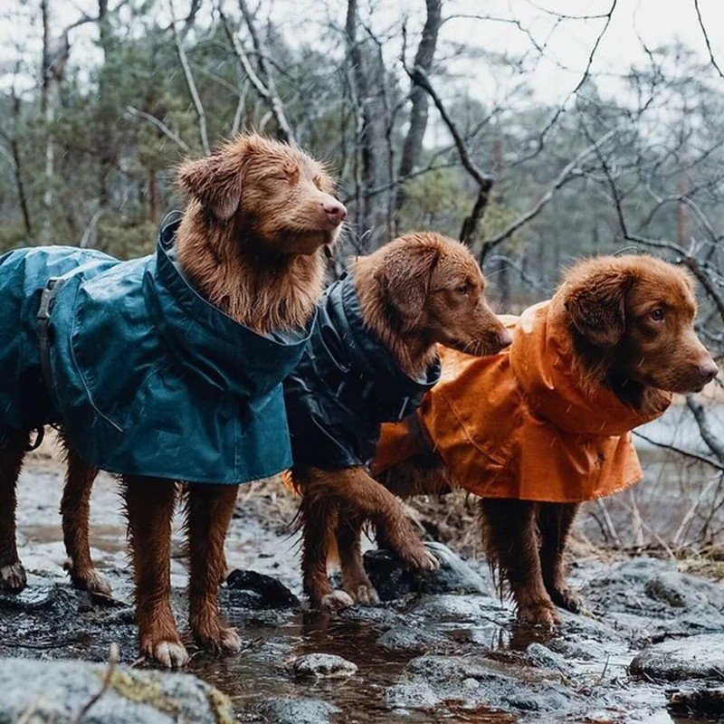 Hurtta Monsoon Coat, Dog Raincoat, Bilberry, 14 in