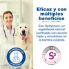 DOUXO S3 Calm Shampoo für Hunde und Katzen, Hygiene für
