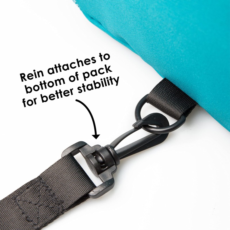 Diono Unisex Baby Safety Rein and Backpack, Teal, One Size