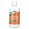 INNER | F-CUS | L-Glutamina, Bacopa, L-Tirosina, Complejo B |