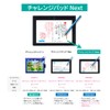 LOE Challenge Pad Next Protective Film Blue Light Cut Compatible