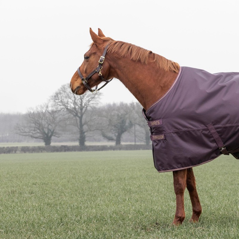 Shires Typhoon 100 Turnout Rug - Black Cherry