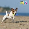 Fancy Pets Juguete en Forma de Tronco Rellenable Congelable Cool