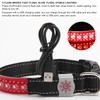 LED Pet Adjustable Collar USB Rechargeable Soft Dog Lighting Night