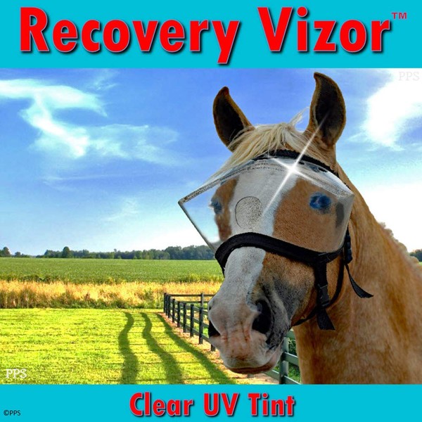Horse Medical and Preventative Clear UV Recovery Vizor (Size Horse/Full) - Uveitis, Cataracts, Corneal Ulcers, Infections, Blindness, Eye Cancer, Visor