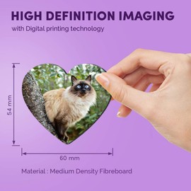 1 x Heart MDF Magnets - Balinese Cat in Tree Blue Eyes 15812
