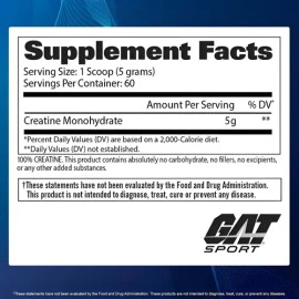 Gat Sport Creatina Monohidratada 300g 60 Porciones                                                                                                    