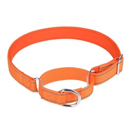 haoyueer Adjustable Martingale Safety Training Dog Collars, Soft Neoprene Padded Breathable Nylon Pet Collar for Large Medium Small Dogs (S, Orange)